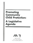 Promoting Community Child Protection: A Legislative Agenda by Leigh S. Goodmark